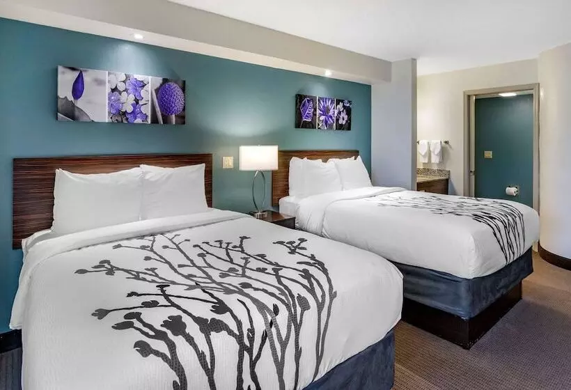 اتاق استاندارد با 2 تخت دوبل, Sleep Inn Clearwaterst Petersburg