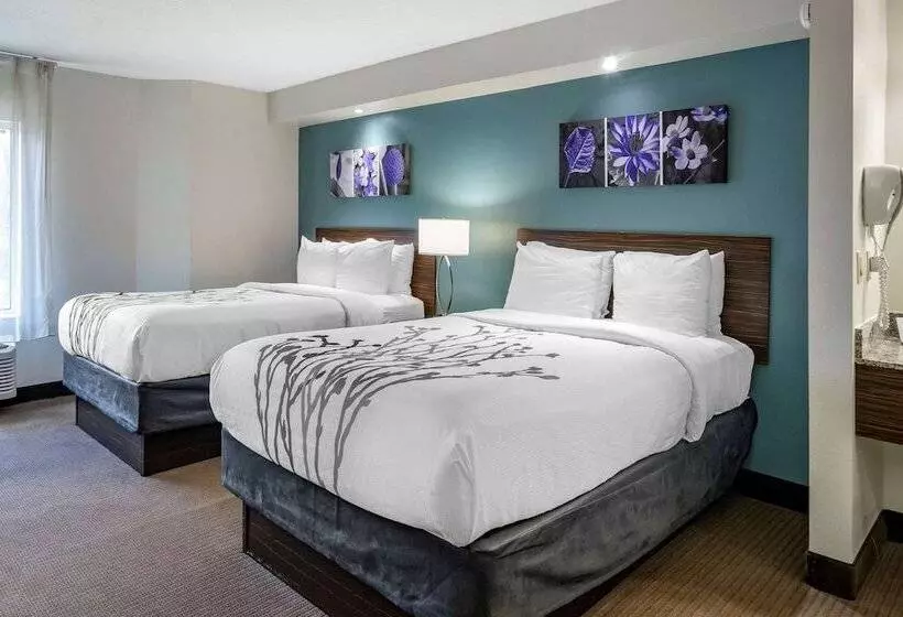 اتاق استاندارد با 2 تخت دوبل, Sleep Inn Clearwaterst Petersburg