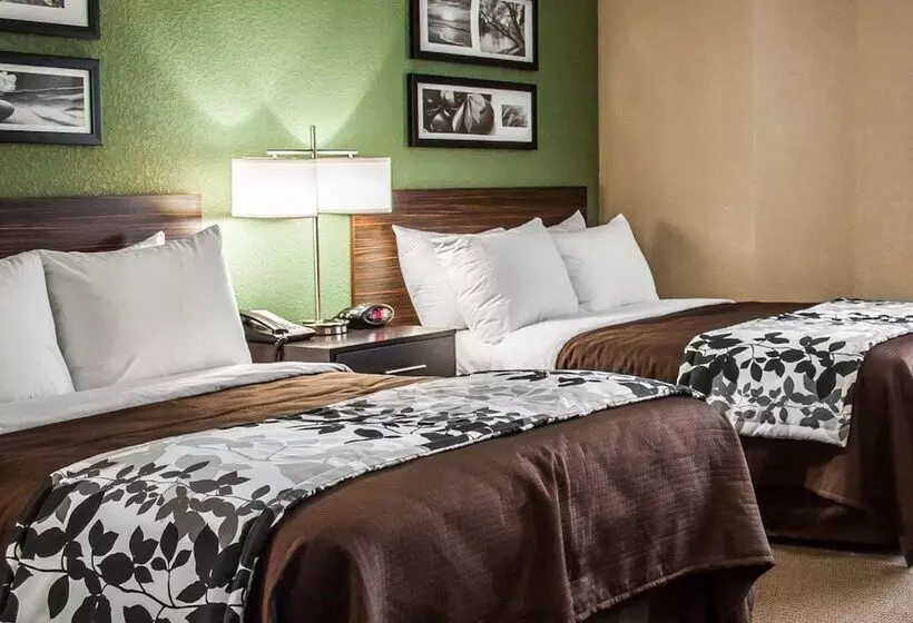 ２ダブルベッドのスタンダードルーム, Sleep Inn Nampa Near Idaho Center