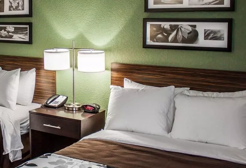 ２ダブルベッドのスタンダードルーム, Sleep Inn Nampa Near Idaho Center