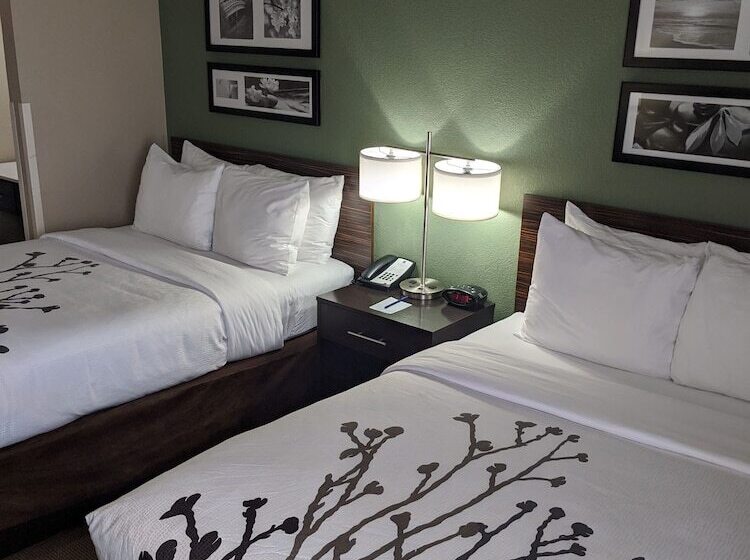 חדר סטנדרט שתי מיטות זוגיות, Sleep Inn Nampa Near Idaho Center