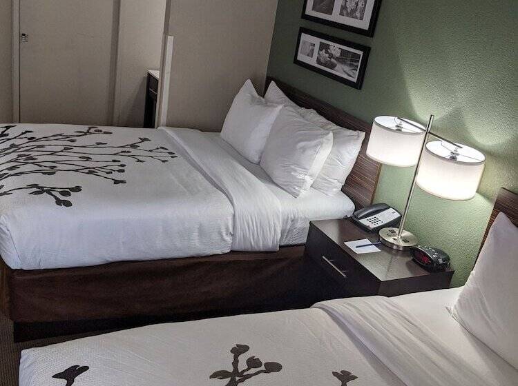 스탠다드 룸 더블 침대 2개, Sleep Inn Nampa Near Idaho Center