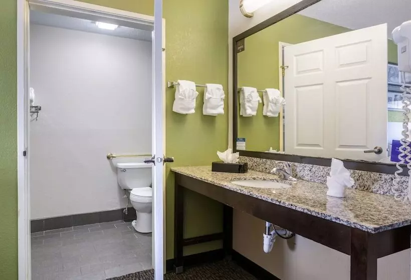 ２ダブルベッドのスタンダードルーム, Sleep Inn Naperville   Chicago