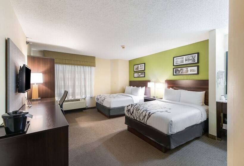 غرفه قياسيه سريرين مزدوجين, Sleep Inn Naperville   Chicago
