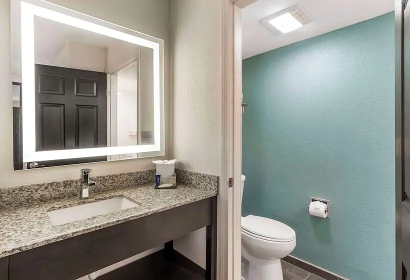 Standard-huone 2 Parivuodetta, Sleep Inn Olathe Kansas City