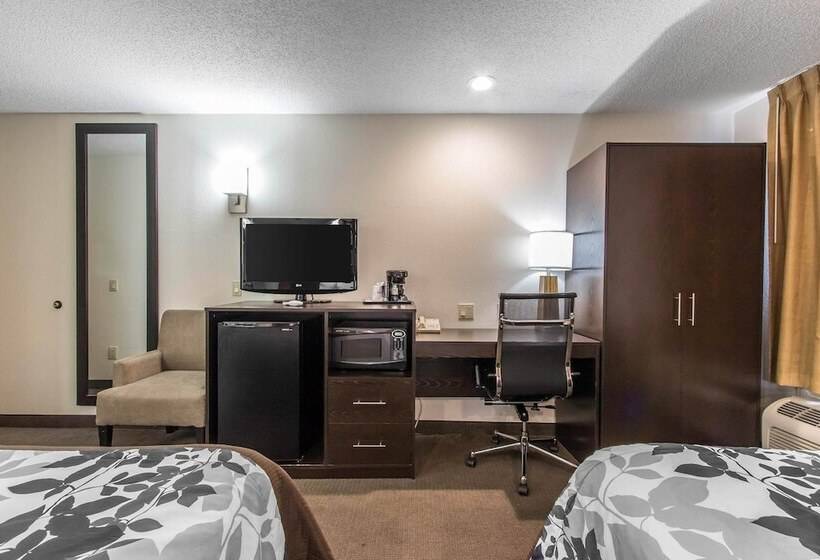 اتاق استاندارد با 2 تخت دوبل, Sleep Inn