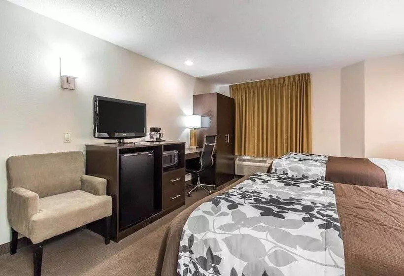 اتاق استاندارد با 2 تخت دوبل, Sleep Inn