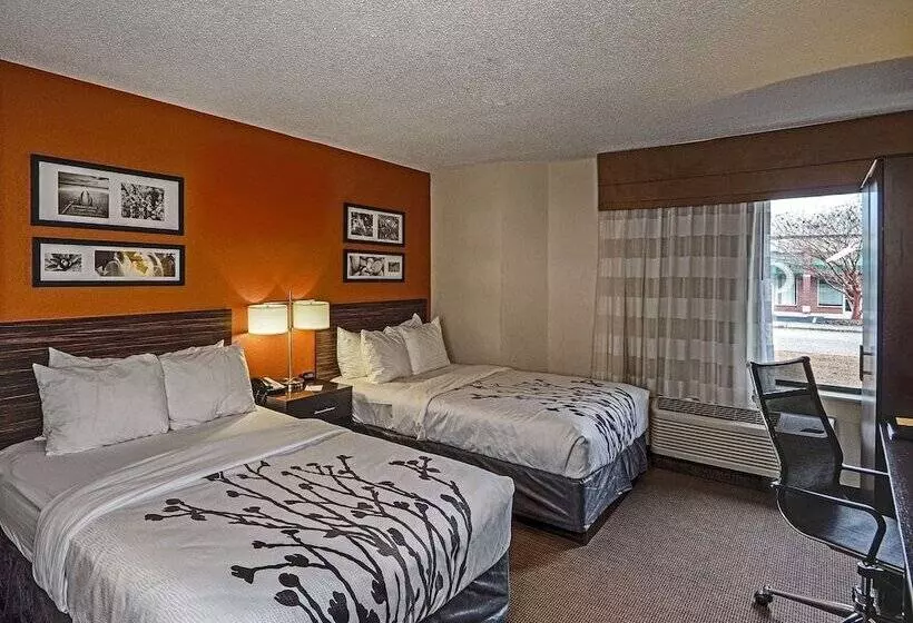 ２ダブルベッドのスタンダードルーム, Sleep Inn & Suites Spring Lake   Fayetteville Near Fort Liberty