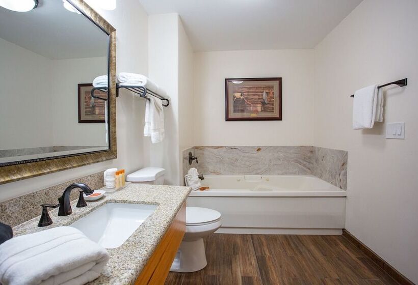 سوئیت با تخت بزرگ, Southwest Inn At Sedona