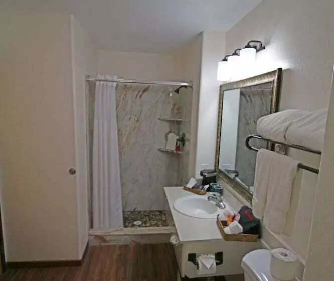 سوئیت با تخت بزرگ, Southwest Inn At Sedona