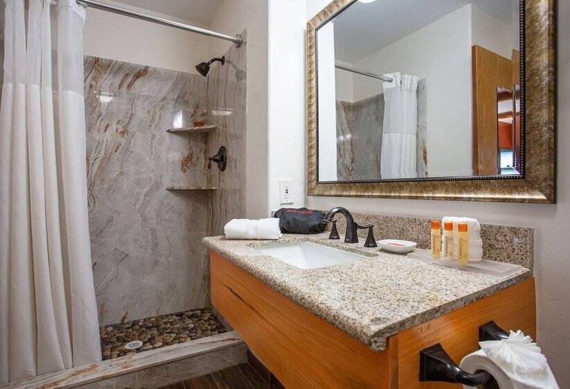 سوئیت با تخت بزرگ, Southwest Inn At Sedona