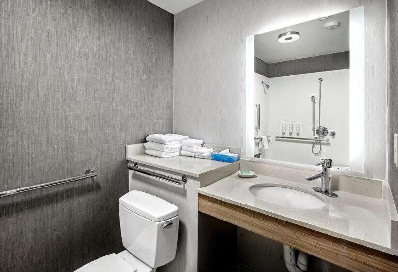 Люкс, Springhill Suites Anchorage Midtown
