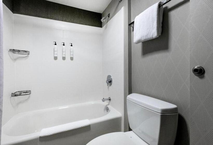 Люкс Адаптированный для Инвалидов, Springhill Suites Anchorage Midtown