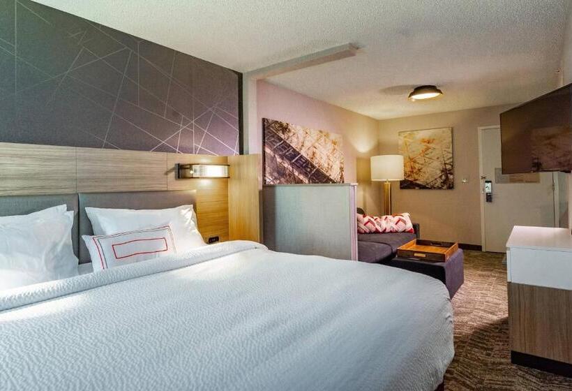 Люкс Кровать Кинг, Springhill Suites Anchorage Midtown