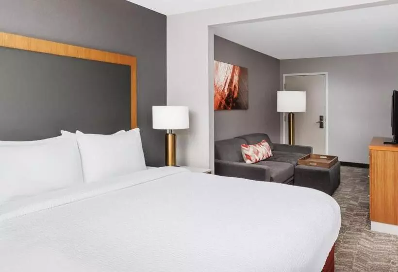 キングサイドベッドのスタンダードワンルーム, Springhill Suites Providence West Warwick