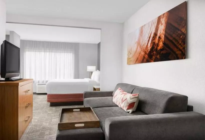 キングサイドベッドのスタンダードワンルーム, Springhill Suites Providence West Warwick