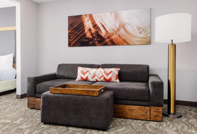 إستوديو قياسى سرير كينج, Springhill Suites Providence West Warwick