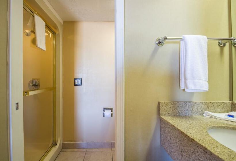 غرفه قياسيه سريرين مزدوجين, Motel 6indianapolis, In  Airport