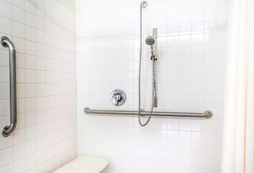 身障者適用スタンダードルーム, Americas Best Value Inn Sparks