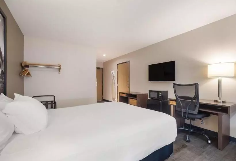 身障者適用スタンダードルーム, Americas Best Value Inn Sparks