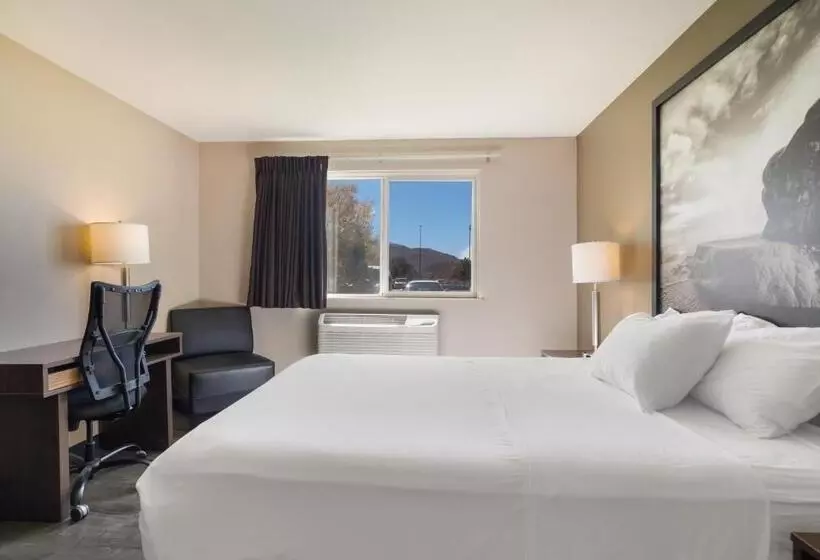 身障者適用スタンダードルーム, Americas Best Value Inn Sparks