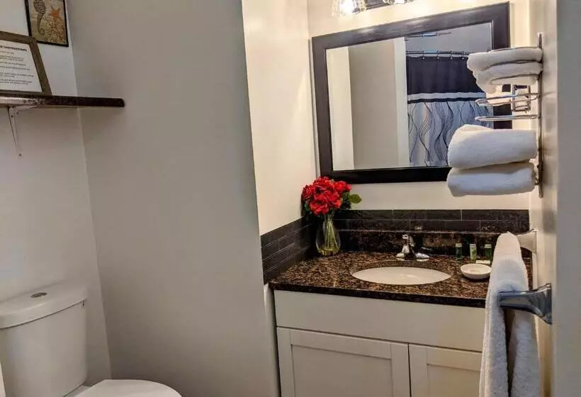 Standard-huone Poreallas, Skyview Motel   Prairie Du Sac