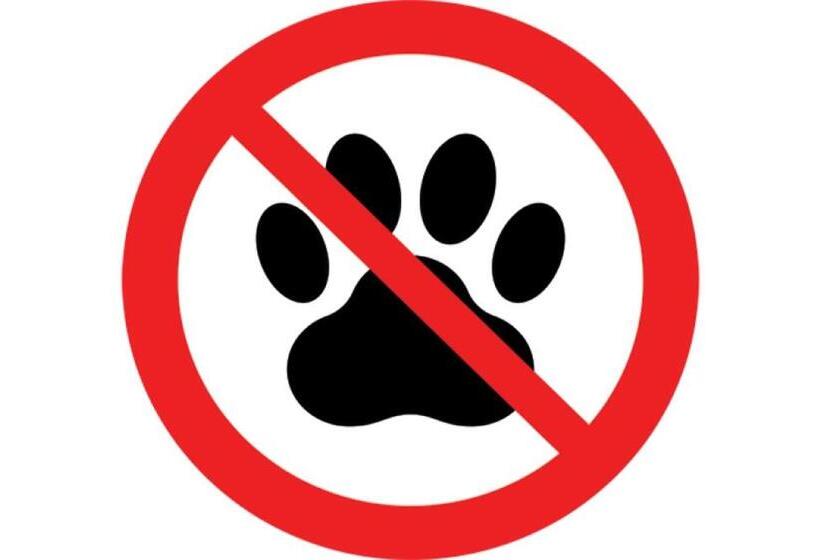 キングサイズベッドのクラシックルーム, Snowdon Chalet Motel