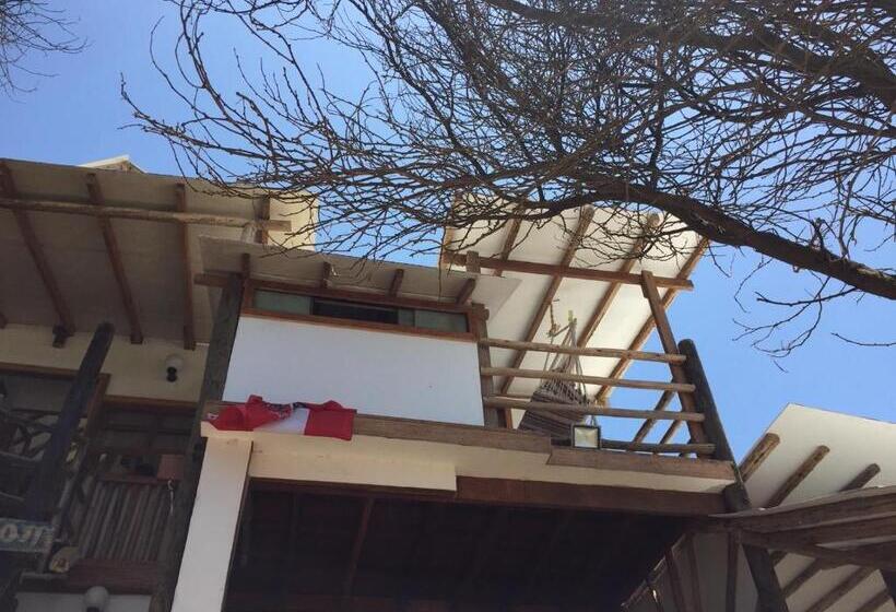 带1个卧室的带阳台的公寓, Mancora Apartments