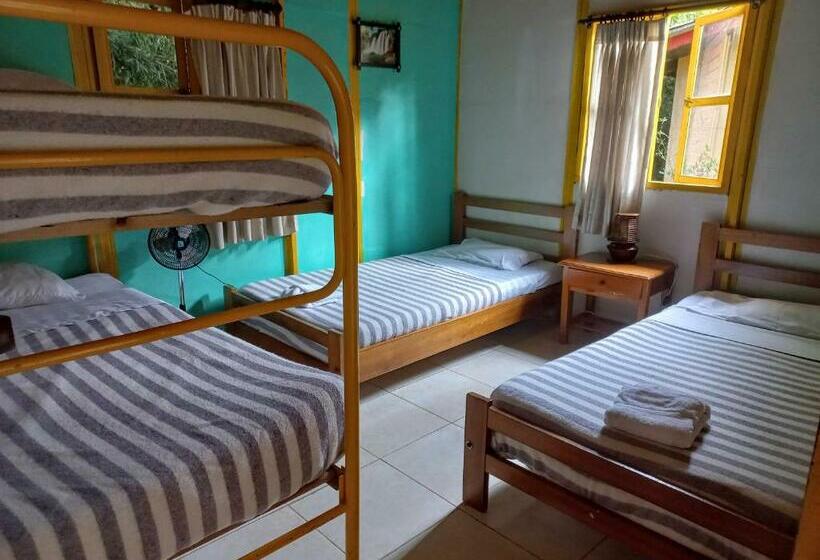 بنجلو قياسى غرفتين نوم, Mega