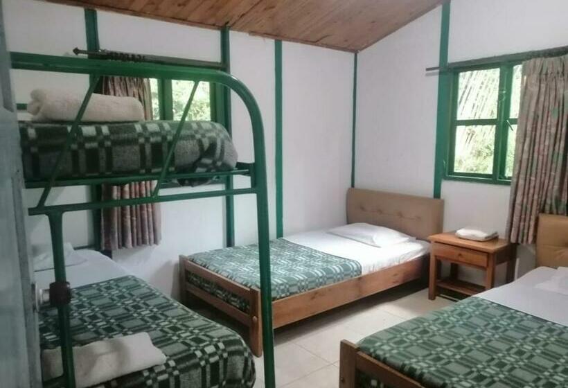 بنجلو قياسى غرفتين نوم, Mega