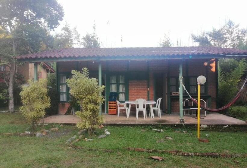 Bungalow Estandar 2 Quartos, Mega