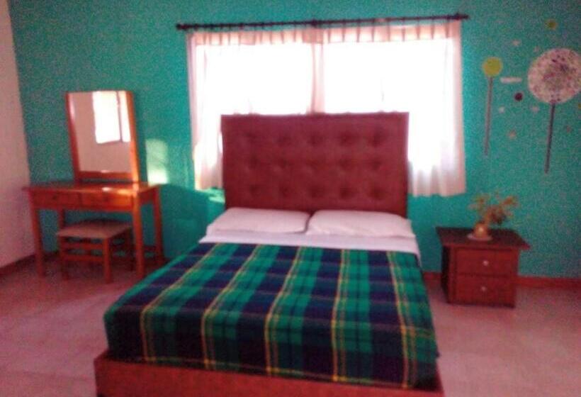 غرفة ديلوكس مزودة بشرفة, Mega