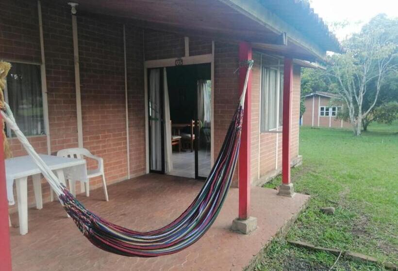 بنجلو عائلى, Mega