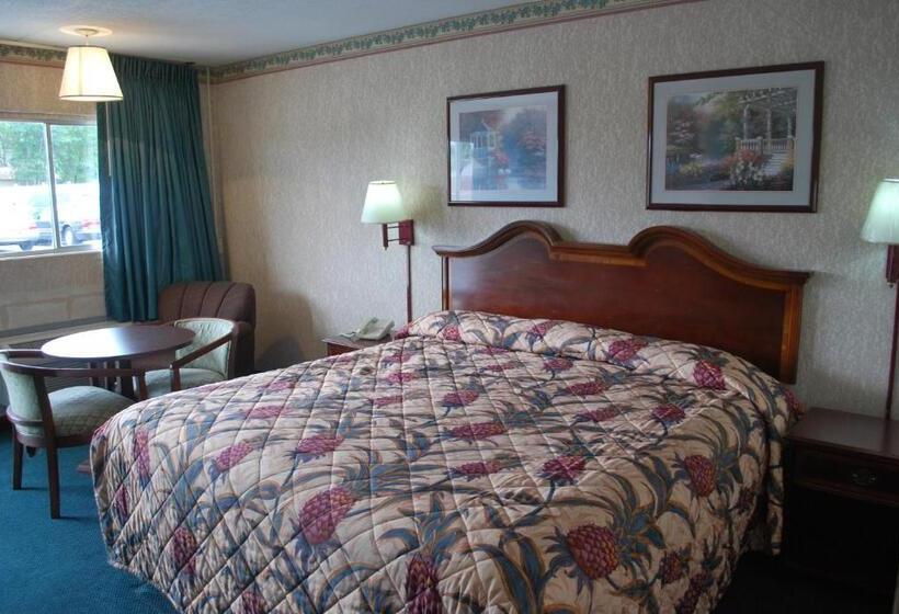 חדר סטנדרט עם מיטת קינג, Best Motel Lakeland