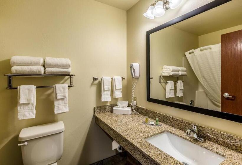 Номер Стандарт Трехместный, Cobblestone Inn & Suites  Merrill