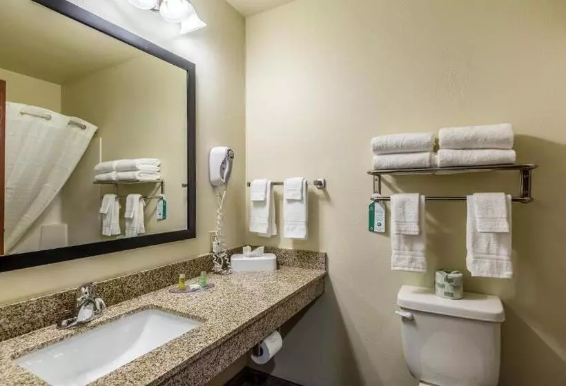 スタンダード4人部屋, Cobblestone Inn & Suites Merrill