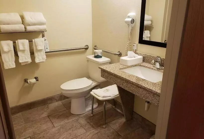 スタンダードルーム, Cobblestone Inn & Suites Merrill