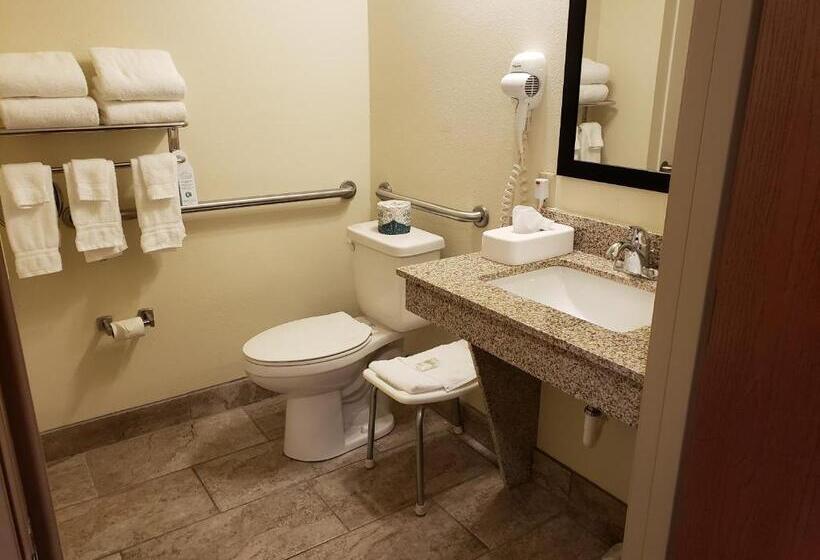 スタンダード4人部屋, Cobblestone Inn & Suites Merrill