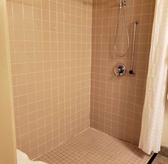 スタンダードルーム, Cobblestone Inn & Suites Merrill