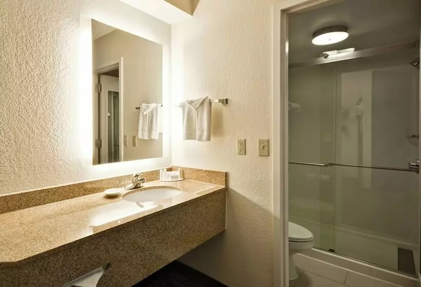 スイート, Springhill Suites By Marriott San Antonio Medical Center/northwest
