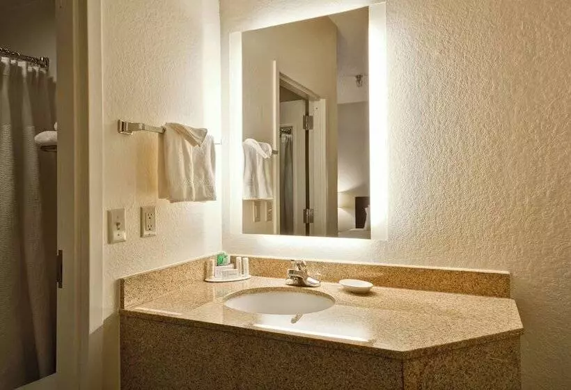 スイート, Springhill Suites By Marriott San Antonio Medical Center/northwest