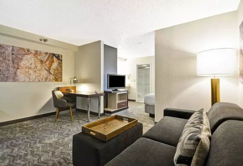 スイート, Springhill Suites By Marriott San Antonio Medical Center/northwest