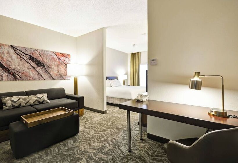 Люкс, Springhill Suites By Marriott San Antonio Medical Center/northwest
