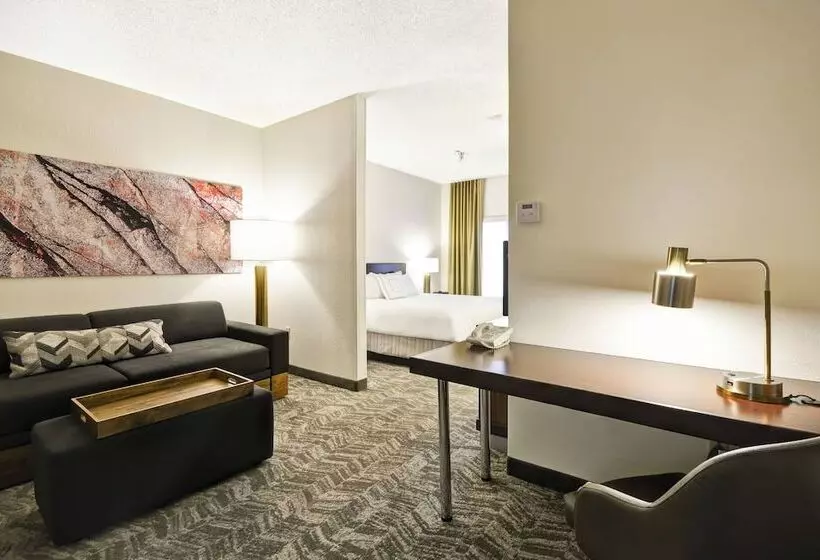 スイート, Springhill Suites By Marriott San Antonio Medical Center/northwest