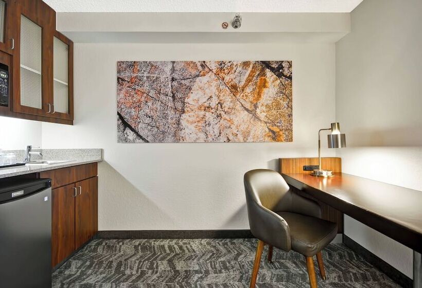 套房, Springhill Suites By Marriott San Antonio Medical Center/northwest