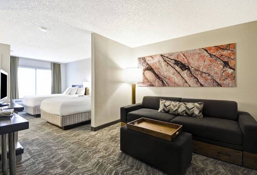 Люкс, Springhill Suites By Marriott San Antonio Medical Center/northwest