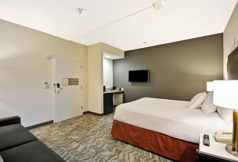 套房, Springhill Suites By Marriott San Antonio Medical Center/northwest