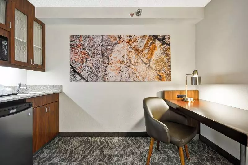キングサイズベッドのスイートルーム, Springhill Suites By Marriott San Antonio Medical Center/northwest