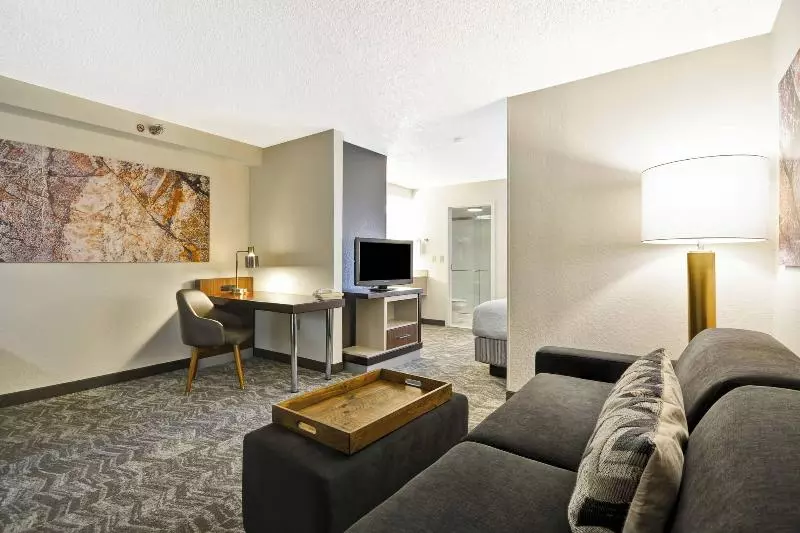 キングサイズベッドのスイートルーム, Springhill Suites By Marriott San Antonio Medical Center/northwest