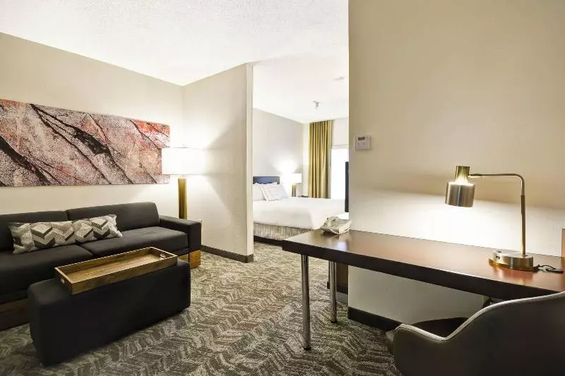 キングサイズベッドのスイートルーム, Springhill Suites By Marriott San Antonio Medical Center/northwest